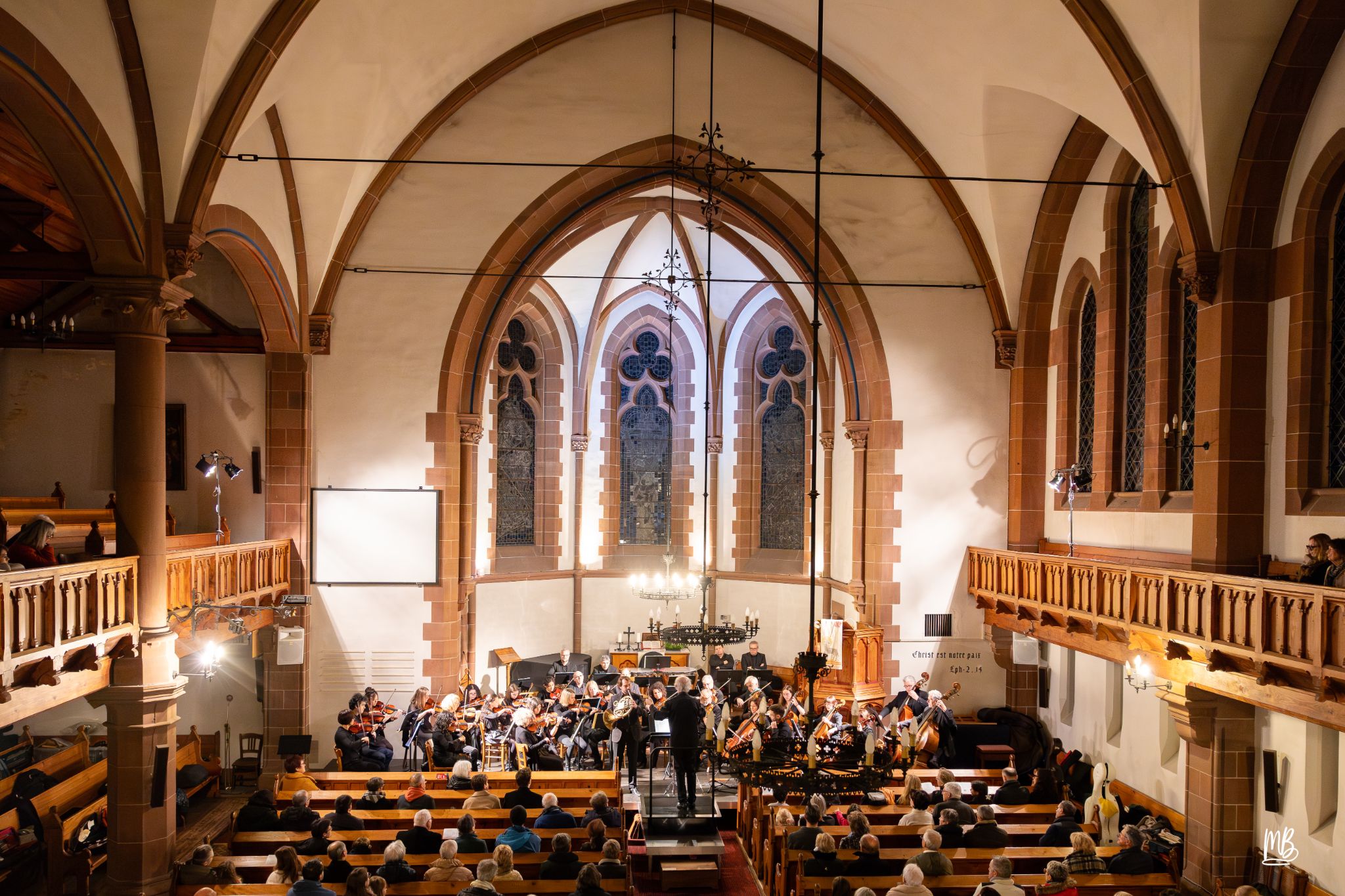 20241102   OSH (Notes d'automne)MB (12 sur 47)